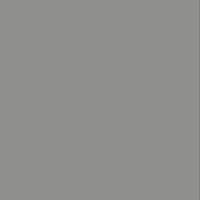 Explorer Rinasco Grey